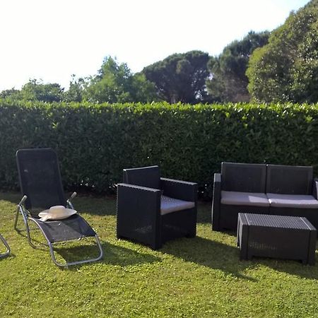 Apartmani Martincic Novigrad Istria 外观 照片