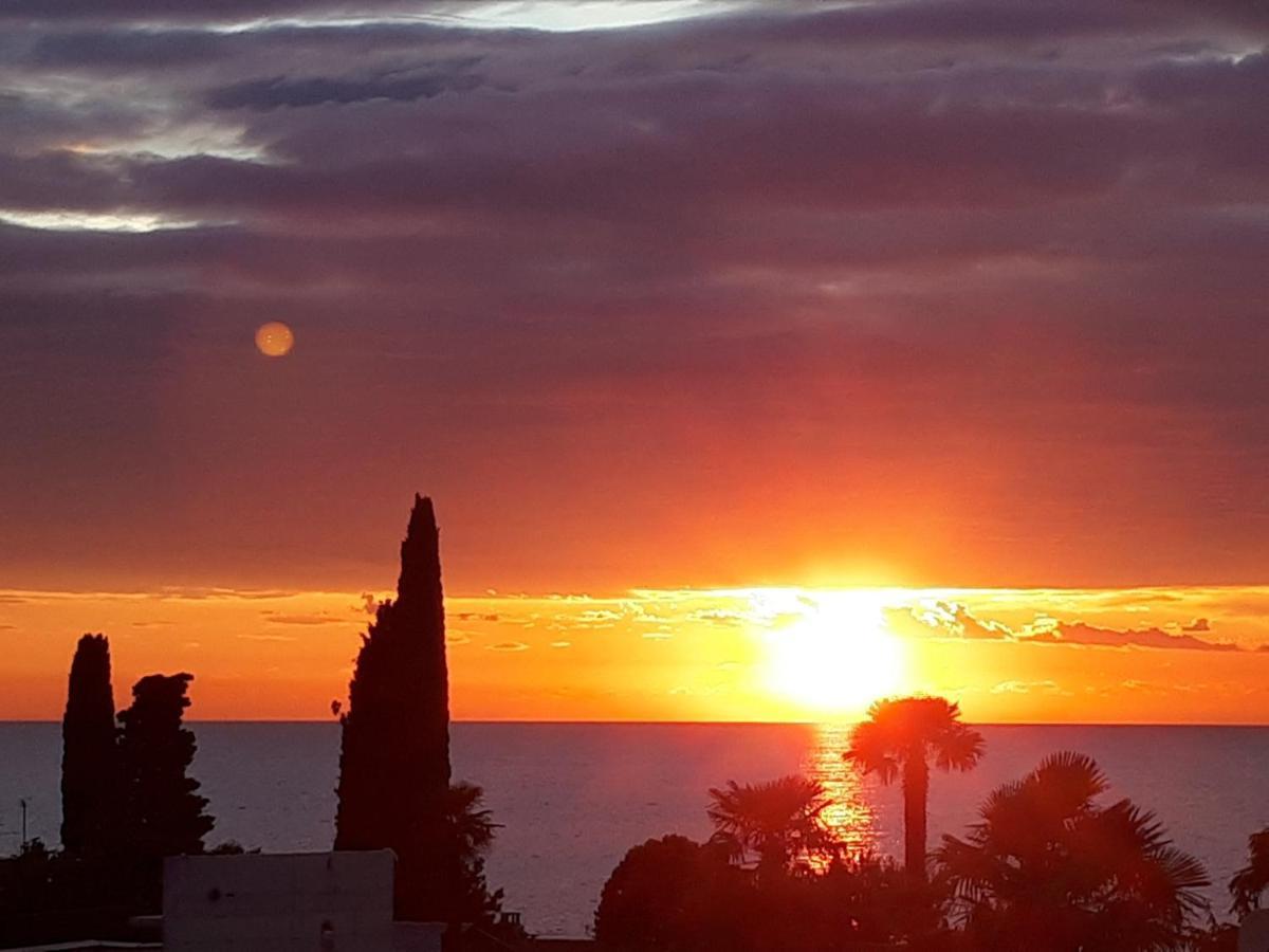 Apartmani Martincic Novigrad Istria 外观 照片
