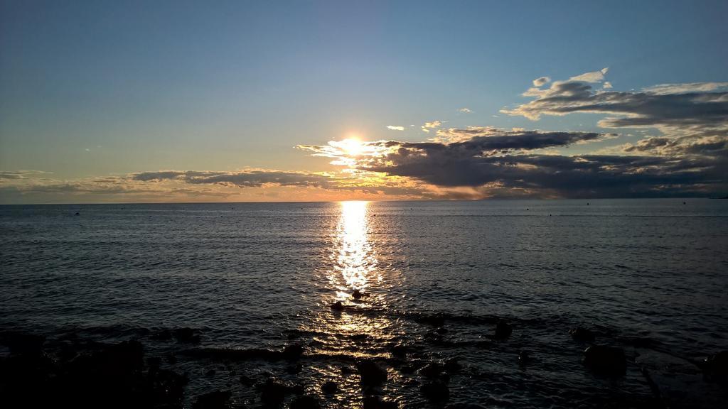 Apartmani Martincic Novigrad Istria 外观 照片