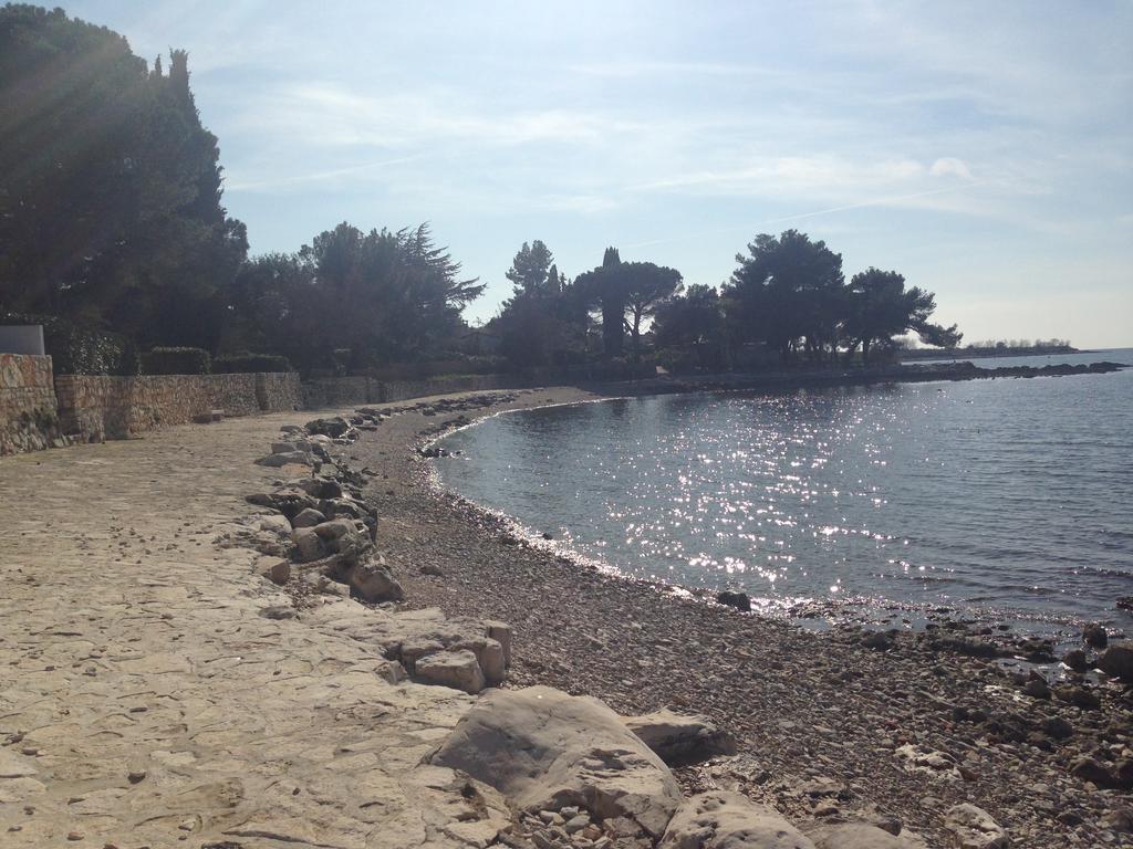 Apartmani Martincic Novigrad Istria 外观 照片