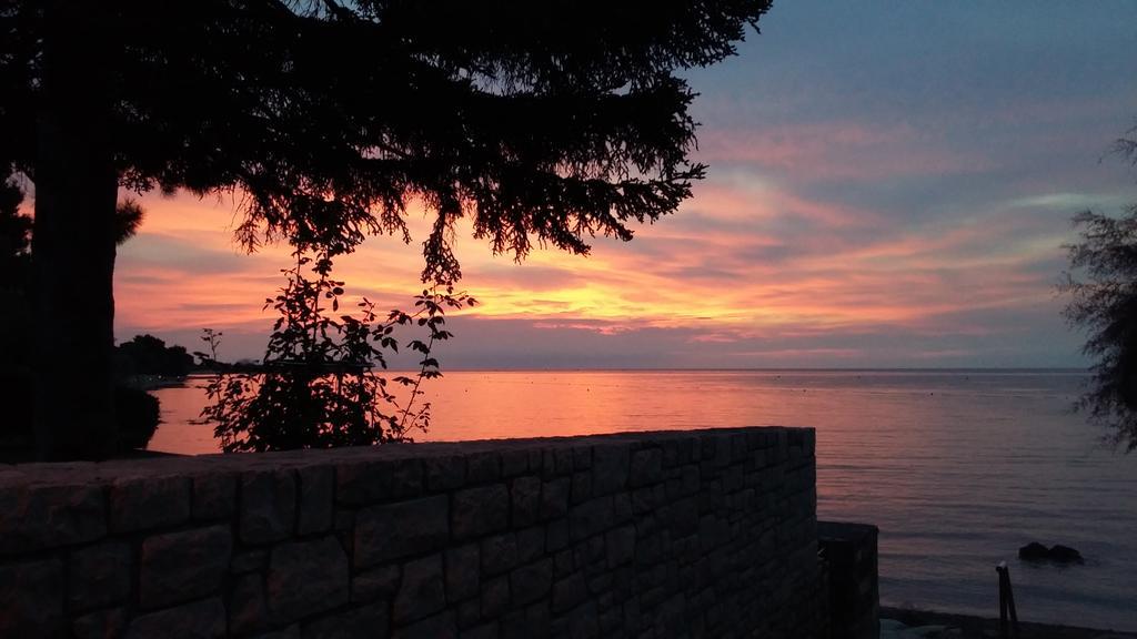 Apartmani Martincic Novigrad Istria 外观 照片
